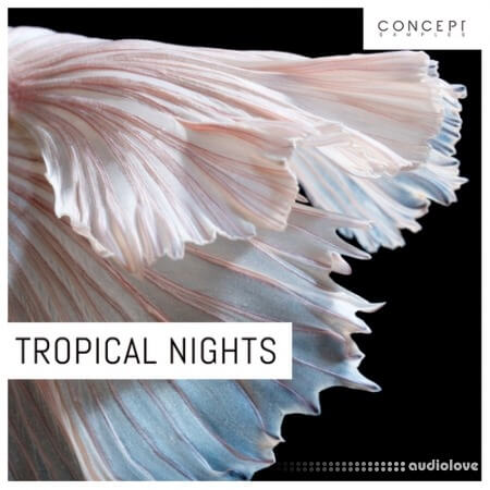 Concept Samples Tropical Nights