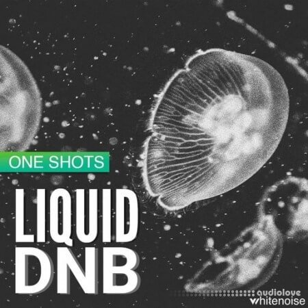 Whitenoise Records Liquid Drum & Bass ONESHOTS