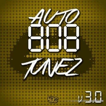 Big Citi Loops Auto 808 Tunez Vol 3