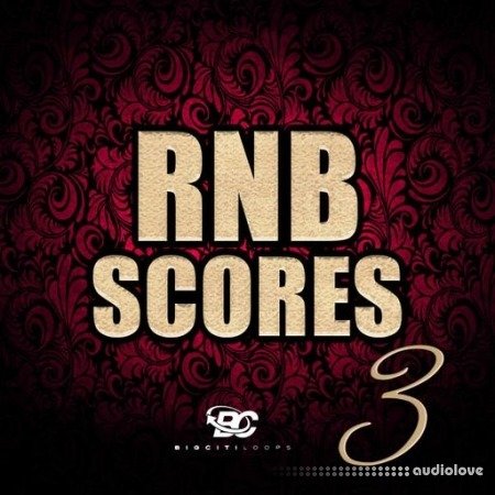 Big Citi Loops RnB Scores 3