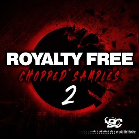 Big Citi Loops Royalty-Free Chopped Samples 2