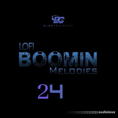 Big Citi Loops Lofi Boomin Melodies 24