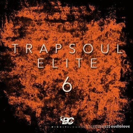 Big Citi Loops Trapsoul Elite 6