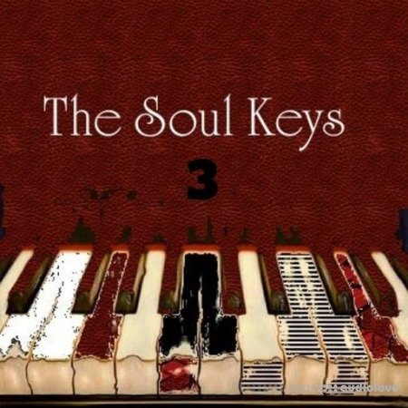 Big Citi Loops The Soul Keys 3