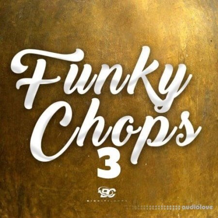 Big Citi Loops Funky Chops 3