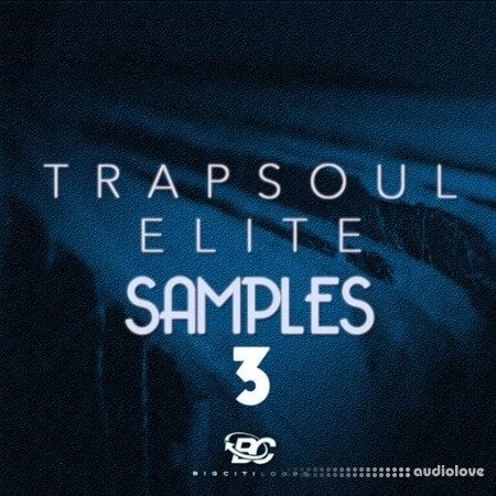 Big Citi Loops Trapsoul Elite Samples 3