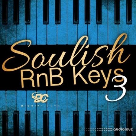 Big Citi Loops Soulish RnB Keys 3