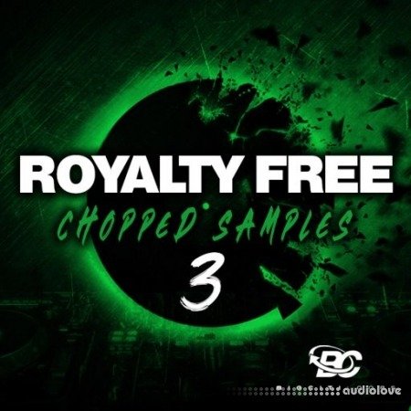 Big Citi Loops Royalty-Free Chopped Samples 3