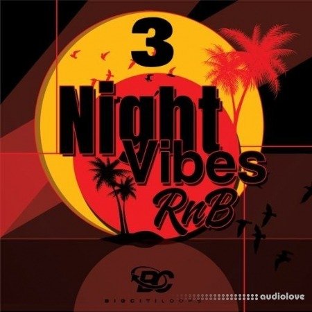 Big Citi Loops Night Vibes RnB 3