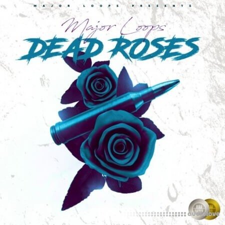 Dynasty Loops Dead Roses