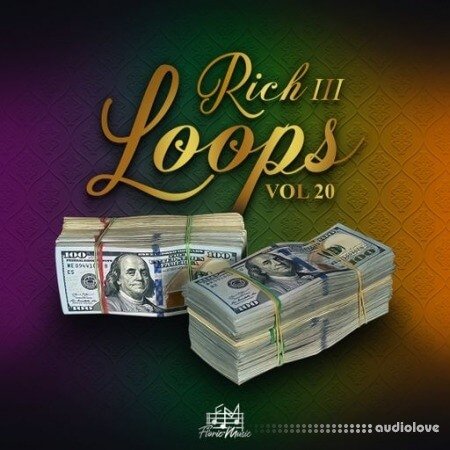 DiyMusicBiz Rich Loops Vol 20