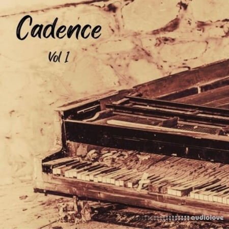 DiyMusicBiz Cadence Vol 1