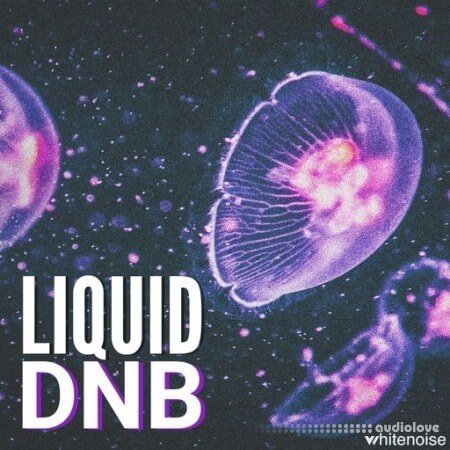 Whitenoise Records Liquid Drum & Bass