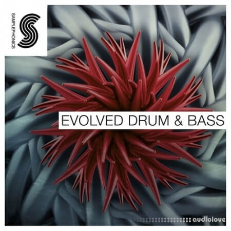 Samplephonics Evolved Drum and Bass