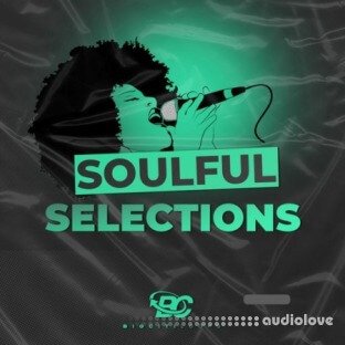 Big Citi Loops Soulful Selections