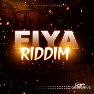 Big Citi Loops Fiya Riddim