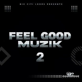 Big Citi Loops FEEL GOOD MUZIK 2