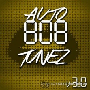 Big Citi Loops Auto 808 Tunez Vol 3