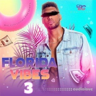 Big Citi Loops Florida Vibes 3