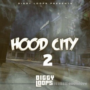 Big Citi Loops HOOD CITY 2