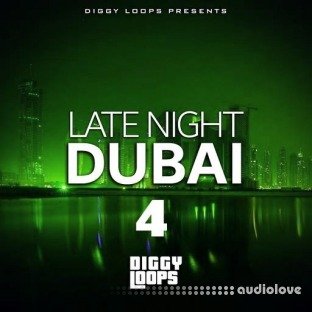 Big Citi Loops Late Night Dubai 4