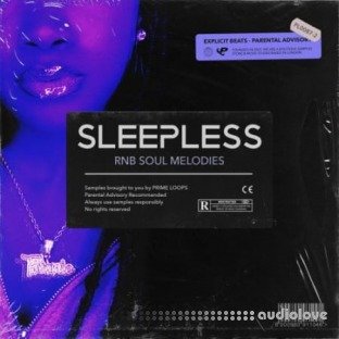 Prime Loops SLEEPLESS RnB Soul Melodies