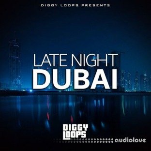 Big Citi Loops Late Night Dubai