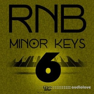 Big Citi Loops RnB Minor Keys 6