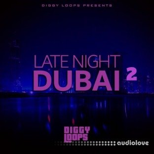 Big Citi Loops Late Night Dubai 2