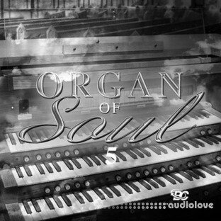 Big Citi Loops Organ Of Soul 5