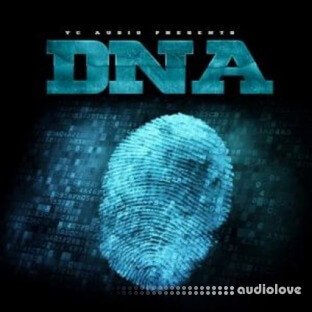 Big Citi Loops DNA