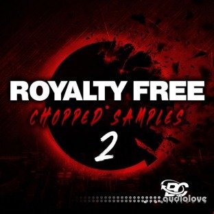 Big Citi Loops Royalty-Free Chopped Samples 2