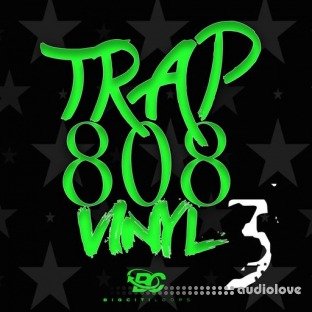 Big Citi Loops Trap 808 Vinyl 3