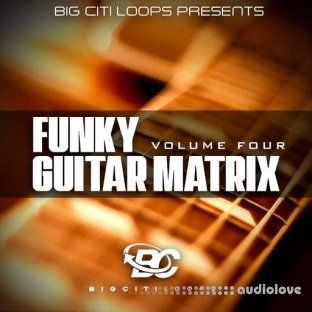 Big Citi Loops Funky Guitar Matrix Vol.4