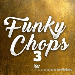 Big Citi Loops Funky Chops 3