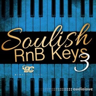 Big Citi Loops Soulish RnB Keys 3