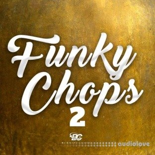 Big Citi Loops Funky Chops 2