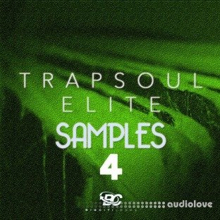 Big Citi Loops Trapsoul Elite Samples 4