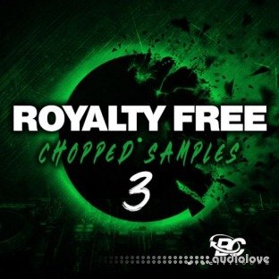 Big Citi Loops Royalty-Free Chopped Samples 3