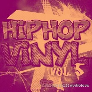 Big Citi Loops Hip Hop Vinyl 5