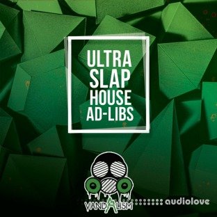 Vandalism Ultra Slap House Ad Libs