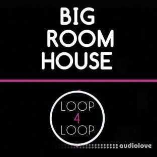 Loop 4 Loop Big Room House