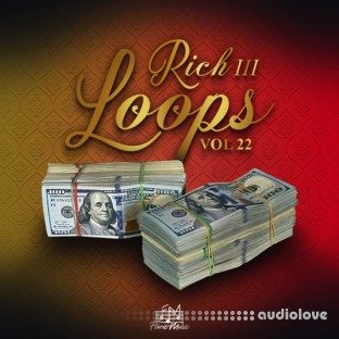 DiyMusicBiz Rich Loops Vol 22