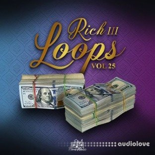 DiyMusicBiz Rich Loops Vol 25