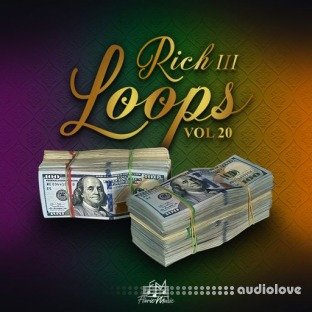 DiyMusicBiz Rich Loops Vol 20