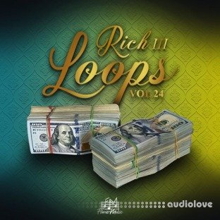 DiyMusicBiz Rich Loops Vol 24