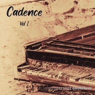 DiyMusicBiz Cadence Vol 1