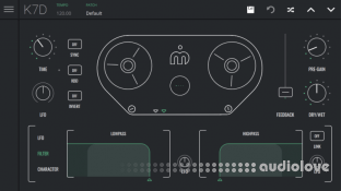 Imaginando K7D Tape Delay