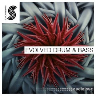 Samplephonics Evolved Drum and Bass