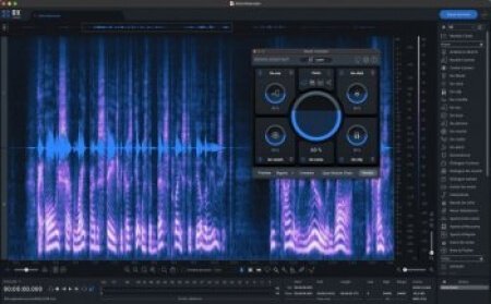 iZotope RX 10 Audio Editor Advanced VST2 Addition